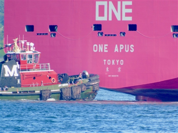 Buque One Apus Sufre Colapso De Contenedores Mientras Navegaba Rumbo Al Puerto De Long Beach Mundomaritimo