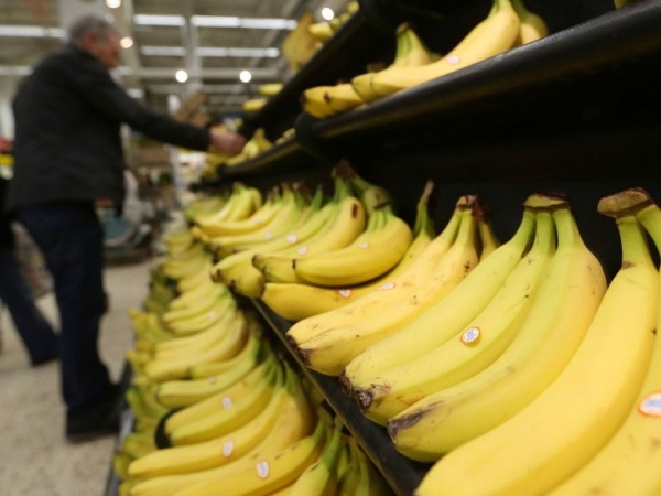 Am Rica Latina Y El Caribe Disminuy Un Las Exportaciones De Banano