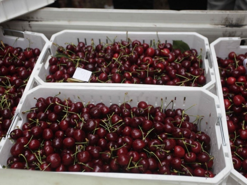 Las importaciones de fruta fresca chilena superaron los US$100 millones en  2021